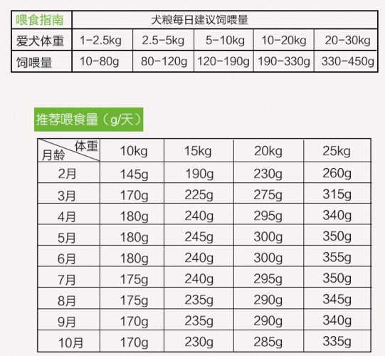 狗狗每天该吃多少（狗狗每天吃多少肉合适）