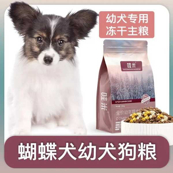 蝴蝶犬不能吃哪些东西（蝴蝶犬适合吃什么狗粮）