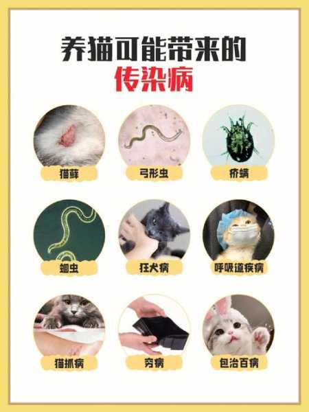 家猫传染病（宠物猫传染病）