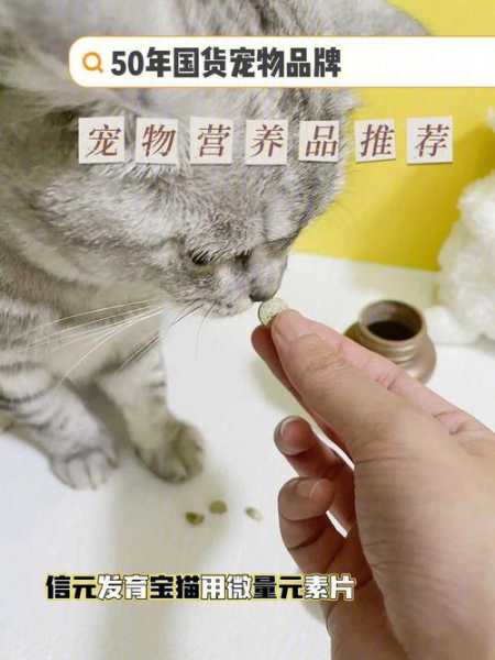 猫咪体内不可缺少的元素（猫不可缺少的元素是什么）