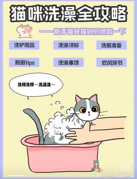 猫咪洗澡教学（猫 洗澡 方法）