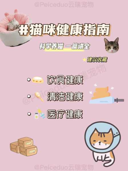 如何让猫咪保持健康（如何让猫咪保持健康呢）