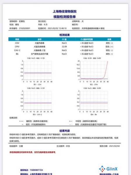 犬副流感是什么病（犬副流感症状治疗方法）