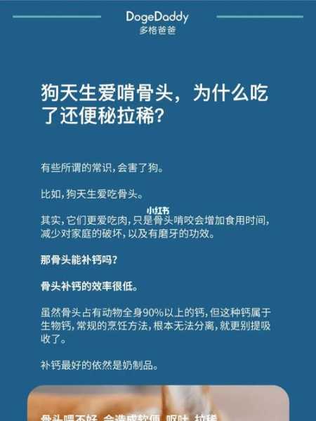 狗吃骨头能消化吗没嚼（狗吃骨头能消化掉吗）