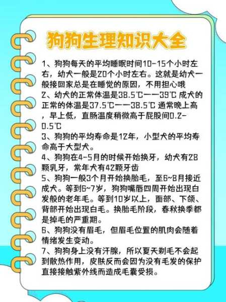 搞不清狗狗的生理阶段是什么（解决狗狗的生理）