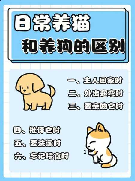 猫咪比狗狗长寿的原因（猫比狗活的长）