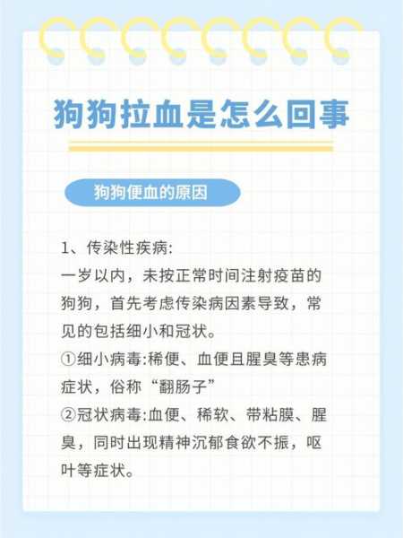 狗狗肠胃不好拉稀怎么调理（狗狗肠胃不好,吃不好就拉稀拉血）