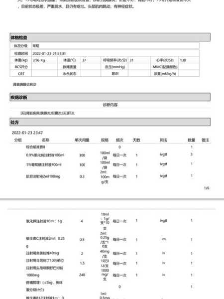 狗狗尿毒症症状及原因（狗得尿毒症的原因引起）