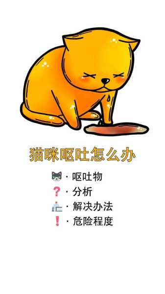 猫咪呕吐是什么病（猫咪呕吐是什么病的症状）