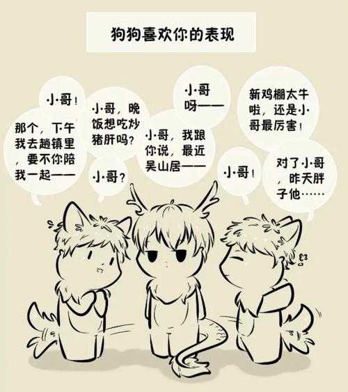 为什么会有人不喜欢猫猫狗狗（为什么会有人不喜欢猫猫狗狗的感觉）