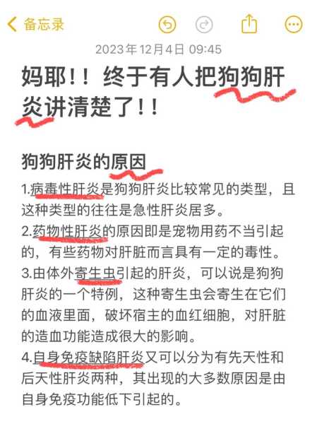 狗狗传染性肝炎症状及治疗（狗狗传染性肝炎症状及治疗方案）