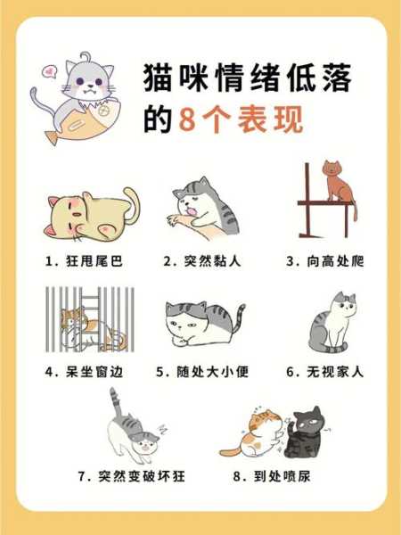 猫咪压抑怎么办（猫咪压抑的表现）