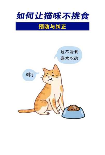 宠物猫咪挑食怎么办啊（宠物猫咪挑食怎么办啊）