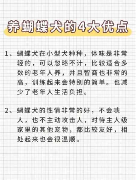 蝴蝶犬的缺点是什么（蝴蝶犬凶不凶）