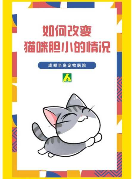 猫咪太胆小了怎么办呀（猫咪太胆小了怎么办呀）