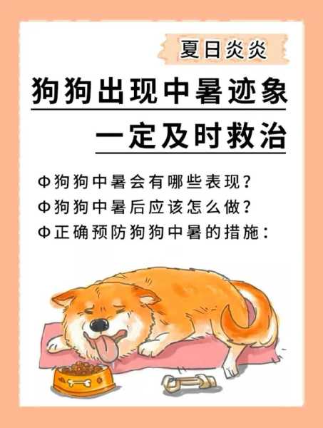 狗狗中暑会有什么症状（狗狗中暑的症状）