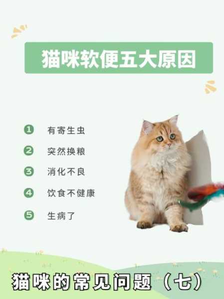 什么原因会导致猫咪软便（猫咪软便是什么原因引起的呢）