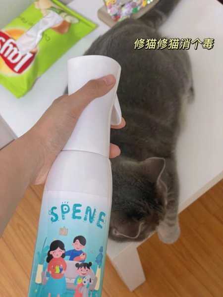 养猫咪的房间怎么消毒（养猫的屋里用什么消毒）