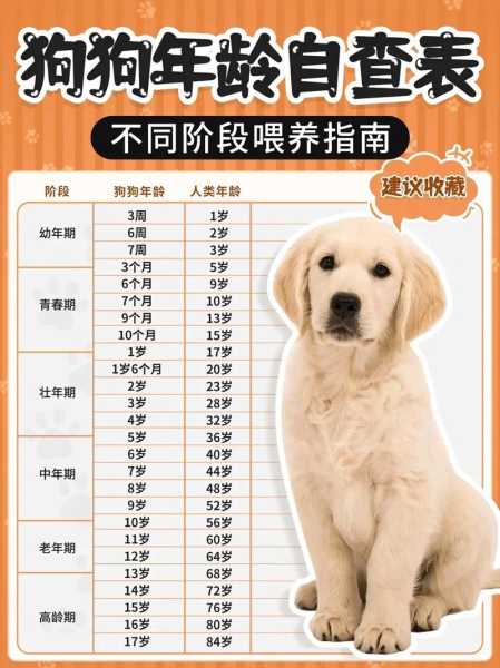 哺乳期幼犬怎么养（哺乳期幼犬怎么养好）