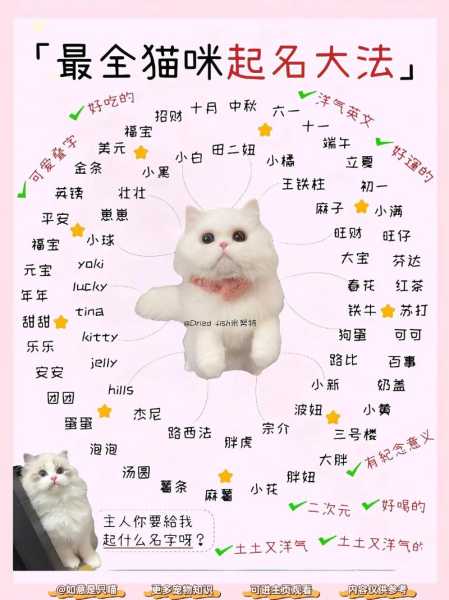 给宠物猫咪名字大全（宠物猫咪名字大全可爱男）