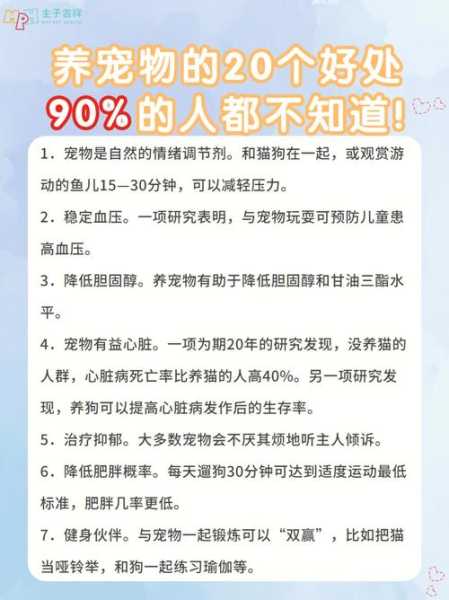 铲屎官们告诉你:养宠物的秘密（养宠物的好处和坏处是什么?）