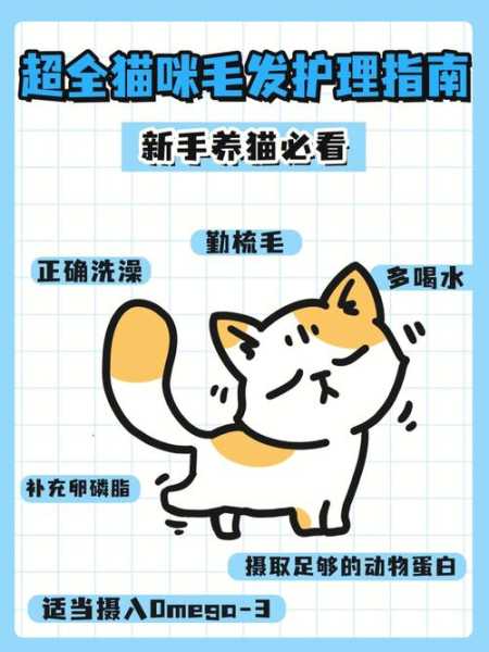 改善猫猫毛质的几大妙法（如何改善猫毛质量）