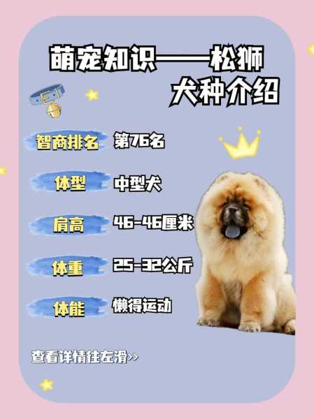 松狮犬值多少钱（松狮犬值多少钱一只）