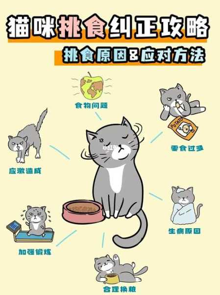 如何解决猫咪挑食（怎么治猫咪挑食）