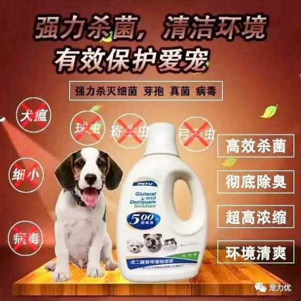 养猫用什么消毒液最好用（养猫用什么消毒液最好用呢）