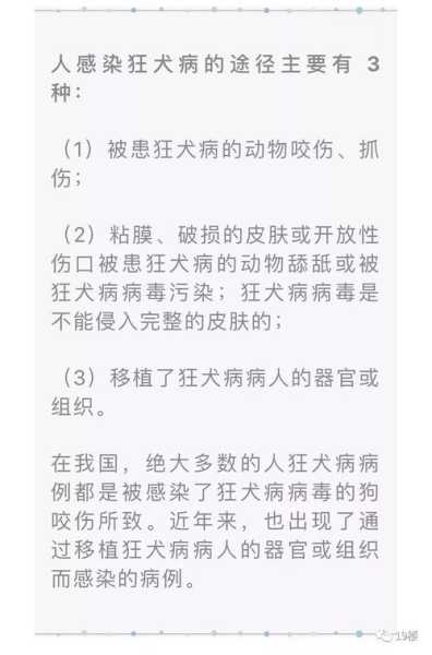 狗狂犬病潜伏期多久过安全期（狗狂犬病潜伏期最长多久）