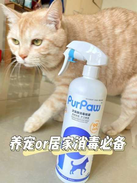 养猫家庭用84消毒（养猫用84消毒液可以吗）