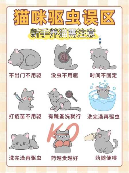 给猫咪驱虫怎么操作（给猫咪驱虫怎么操作一般一年几次）