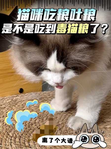 猫咪吃猫粮会不会营养不良（猫咪吃猫粮会不会营养不良呀）