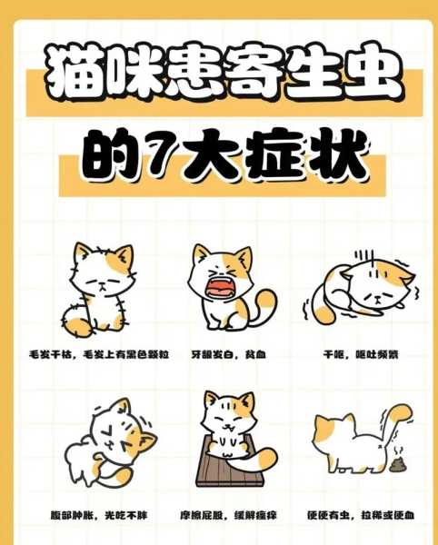 猫咪有寄生虫怎么治（猫有寄生虫子）