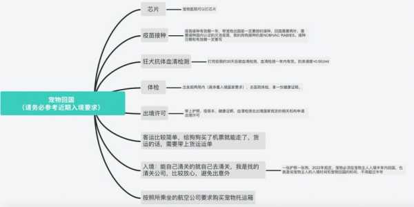 宠物出国手续怎么办理流程（宠物出国手续怎么办理流程图）