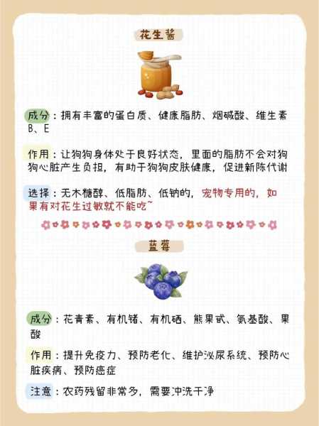 狗狗怀孕了吃什么食物好（狗狗怀孕了吃啥好）