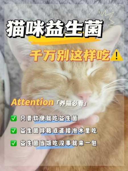 猫咪吃了益生菌的反应（猫咪吃了益生菌的反应大吗）