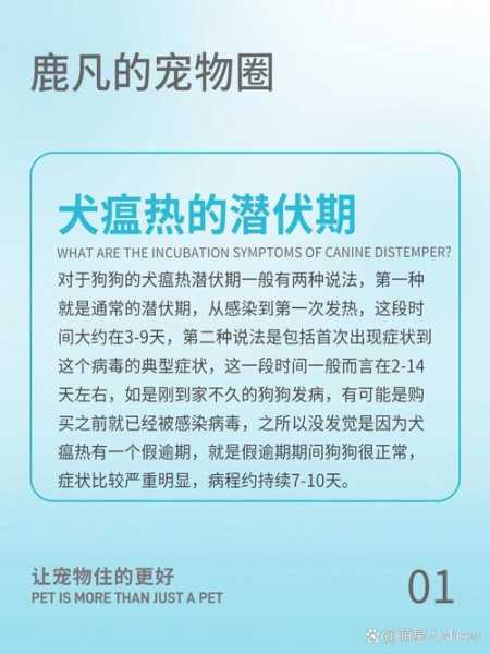 犬瘟热的潜伏期（犬瘟热的潜伏期是）