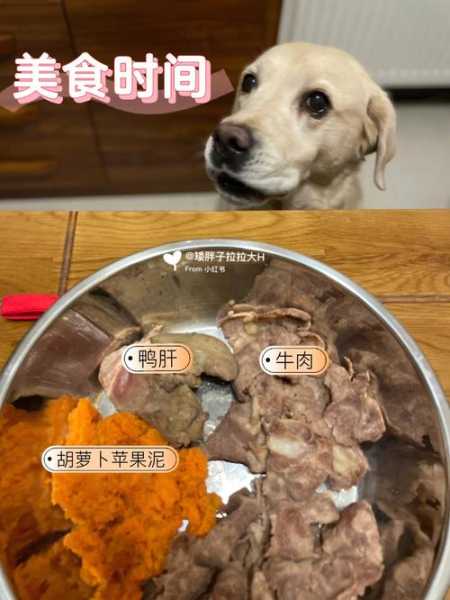 狗狗为什么不能吃羊肉和牛肉（狗狗为啥不能吃肉）