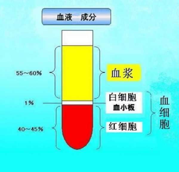 血液医学（血液医学名词解释）