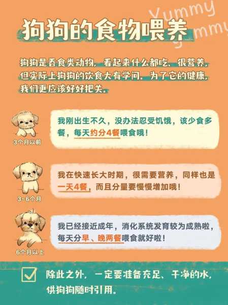 狗狗为什么推食盒（狗狗为什么要把吃的叼到窝里吃）