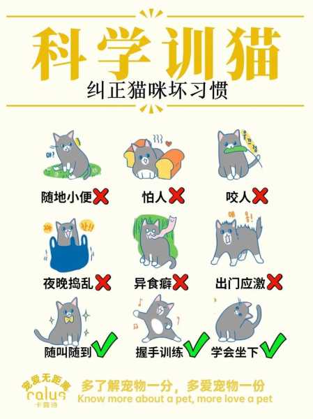 让猫猫学会听话,训练自己（让猫猫学会听话,训练自己的能力）