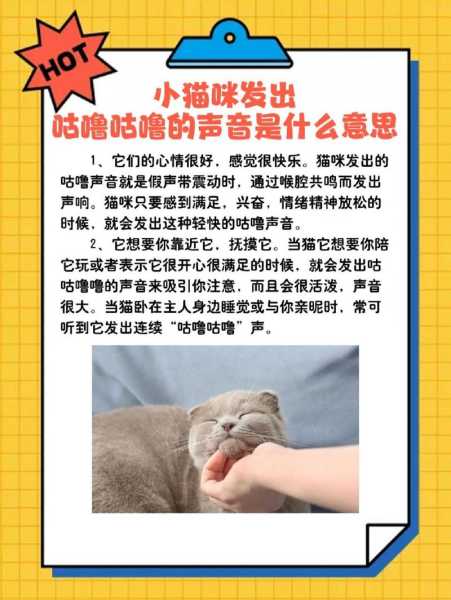 猫咪发出呼噜的声音是什么意思啊（猫咪发出呼噜的声音是什么意思啊怎么回事）