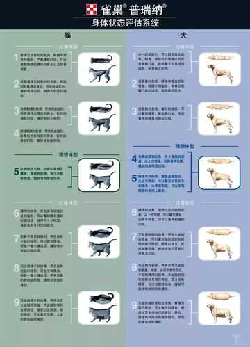 宠物繁殖与育种（宠物繁殖与育种论文）