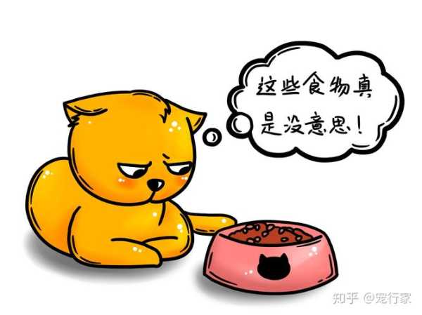 猫不良进食姿势（猫饮食不振）