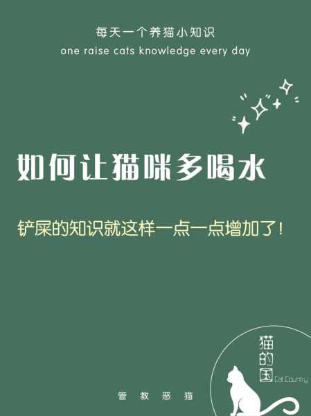 怎样可以让猫咪多喝水呢视频（怎样可以让猫咪多喝水呢视频教程）