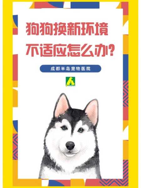 宠物狗换新环境要适应多久（宠物狗换新环境要适应多久才能适应）