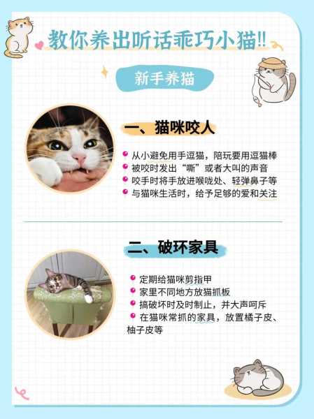 教你两招让猫咪听话的方法（怎么能让猫听话?）