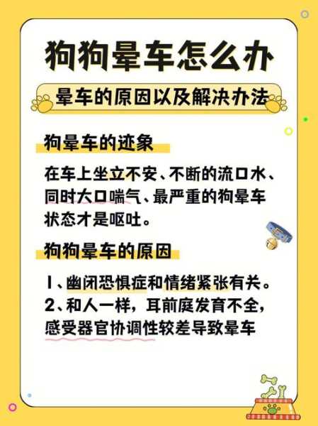 狗狗晕车怎么处理（狗晕车解决办法）