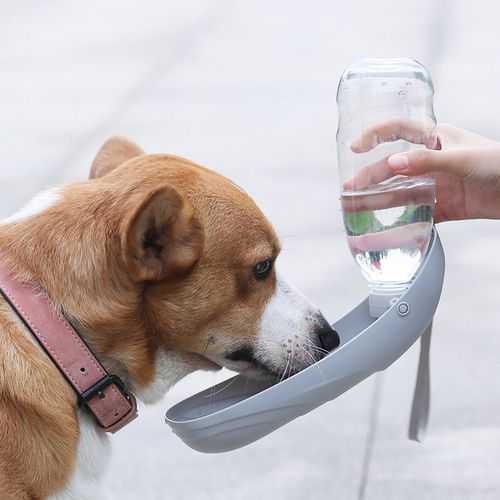 宠物户外喝水（宠物户外饮水杯）